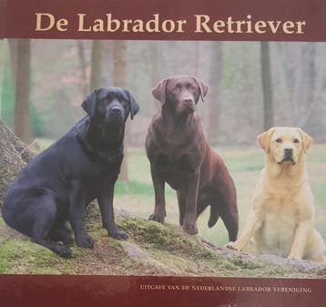 De labrador retriever 9789080311022, Verzenden