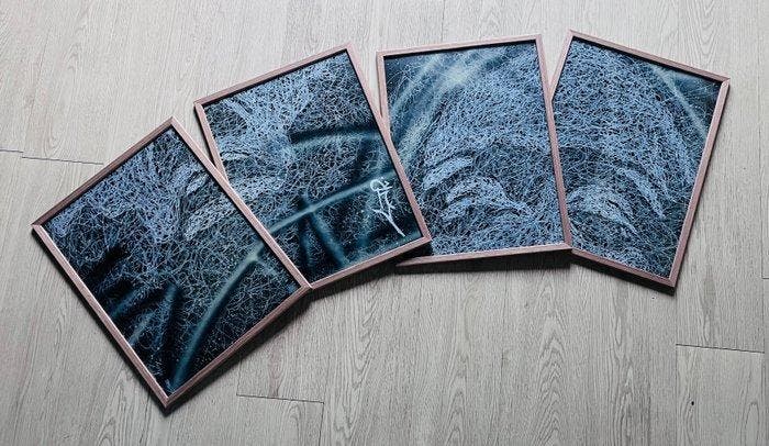 Le Jeune R - Les 4 sens, Antiquités & Art, Art | Peinture | Moderne