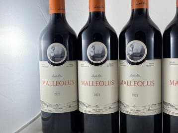 2023 Bodegas Emilio Moro, Malleolus - Ribera del Duero - 6, Verzamelen, Nieuw