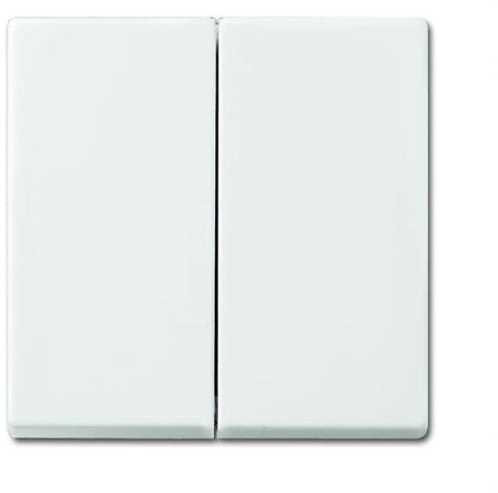 ABB Busch-Jaeger Balance SI Control Element/Central Plate, Doe-het-zelf en Bouw, Elektriciteit en Kabels, Verzenden