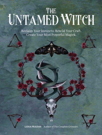 The Untamed Witch 9780760376638 Lidia Pradas, Verzenden, Gelezen, Lidia Pradas