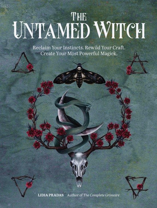 The Untamed Witch 9780760376638 Lidia Pradas, Boeken, Taal | Engels, Gelezen, Verzenden
