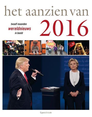 Het aanzien van 2016 / Het aanzien van 9789000352029, Boeken, Verzenden, Gelezen, Han van Bree