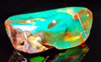Dominican Amber!! AAA-kwaliteit-245 ct Geen reserveprijs- 49
