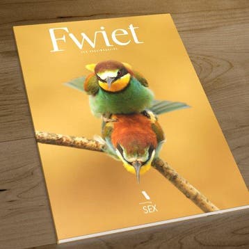 Fwiet - een vogelmagazine / Fwiet / 5 9789464337143, Verzenden, Jeroen Denaeghel