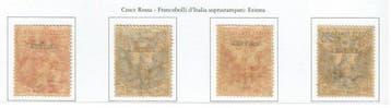 Italiaans Eritrea 1916 - Rode Kruis MNH - Sassone 41/44, Gestempeld