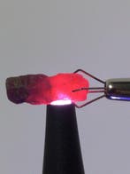 Robijn Ruw- 2 g - (1)