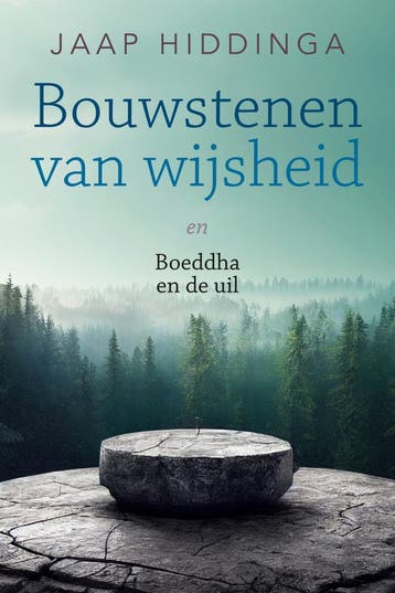 Bouwstenen van wijsheid en Boeddha en de uil 9789493358867, Boeken, Verzenden, Gelezen, Jaap Hiddinga