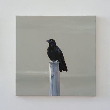 Matthieu van Riel - Kraai