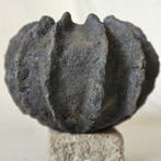 officine polverose - Offervaas - idool - Keramiek - Idool