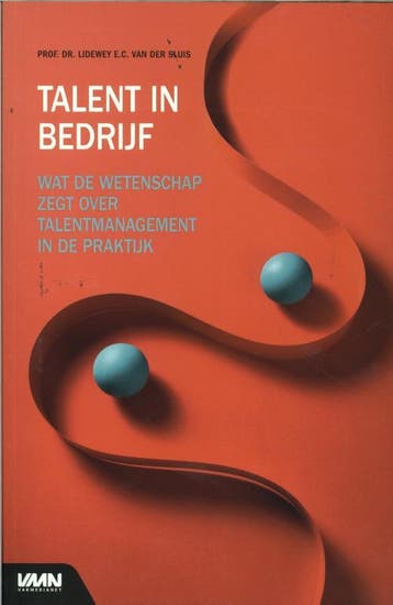 Talent In Bedrijf | Lidewey Sluis | Nieuw, Verzenden, Lidewey Sluis