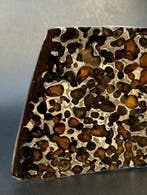 Sericho meteoriet Pallasiet - 58 g - (1), Verzamelen