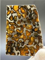 Sericho meteoriet Pallasiet - 22 g - (1)