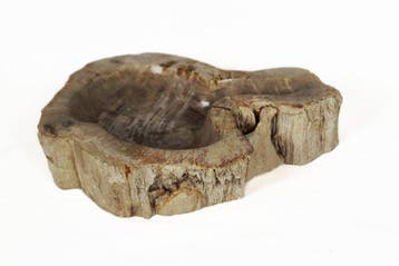 Versteend hout kom - Gefossiliseerd hout - Dipterocarpus - 6