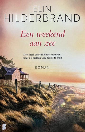 Een weekend aan zee 9789022593325 Elin Hilderbrand, Verzenden, Gelezen, Elin Hilderbrand