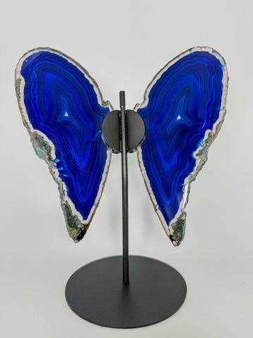 Papillon en agate bleu exceptionnel sur trépied - pièce de