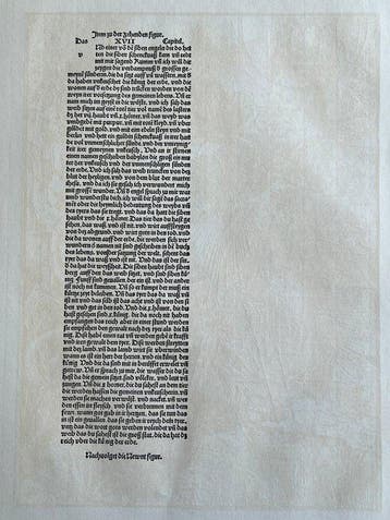 Albrecht Dürer (1471-1528), after - Apocalypsis cum Figuris