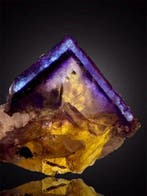 Fluorine collection privée - Hauteur : 4.5 cm - Largeur :