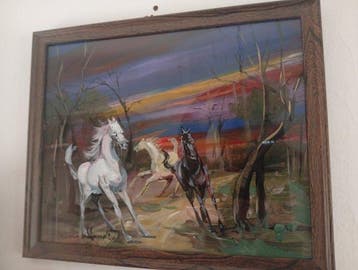 Romano Mussolini (1927-2006) - Cavalli in libertà