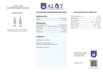 Zonder minimumprijs - Oorbellen Zilver - Amethist -, Nieuw