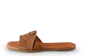 Laurent David Slippers in maat 39 Bruin, Vêtements | Femmes, Verzenden, Slippers