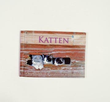 Katten, Verzenden