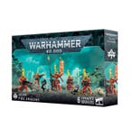 Aeldari Fire Dragons (Warhammer 40.000 nieuw), Ophalen of Verzenden, Nieuw
