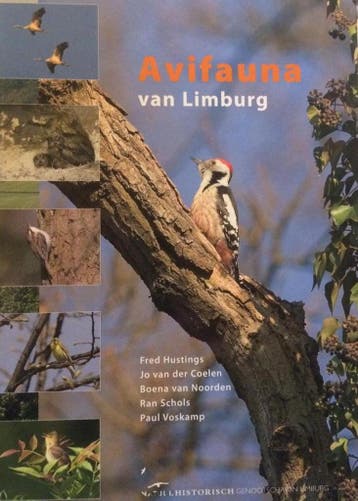 Avifauna van Limburg 9789074508131 F. Hustings, Verzenden, F. Hustings