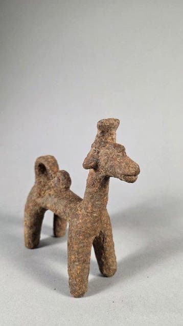 Zeldzame hond - Djenné - Mali-Niger