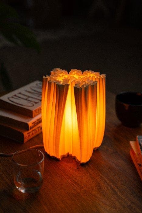 Michael Jasinski - Lampe de table - S2 - Biopolymère, Antiquités & Art, Art | Objets design