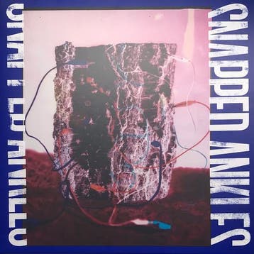 Snapped Ankles - Forest Of Your Problems, Verzenden, Gebruikt