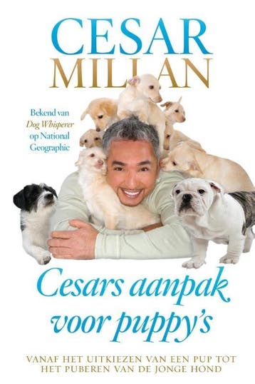 Cesars aanpak voor puppys 9789044334029 Cesar Millan, Verzenden, Cesar Millan