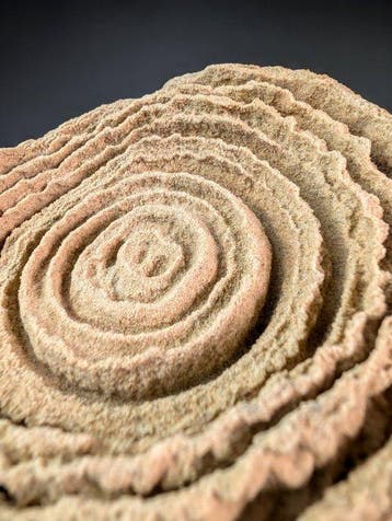 Woestijnroos (stromatoliet) op stand - Hoogte: 10.5 cm -
