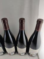 2023 Quinta do Vale Meão - Douro - 6 Bouteilles (0,75 L), Nieuw