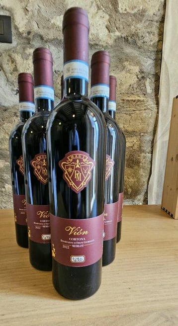 2022 Paolo Magi, Vion Merlot Cortona - Toscane - 6 Flessen