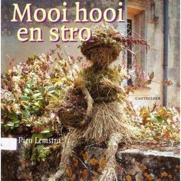 MOOI HOOI EN STRO 9789021328157 P. Lemstra, Verzenden, Gelezen, P. Lemstra
