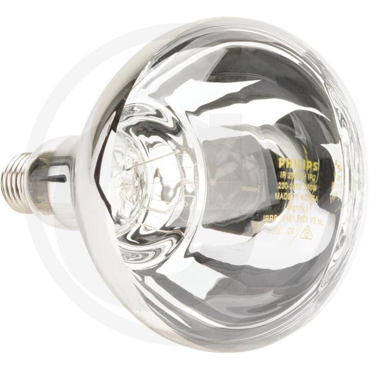 Horizont infrarotlampe 250 w klar - hartglas für robuste..., Articles professionnels, Agriculture | Outils, Enlèvement ou Envoi
