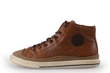 Little David Sneakers Jongens in maat 36 Cognac, Kinderen en Baby's, Kinderkleding | Schoenen en Sokken, Little David, Verzenden