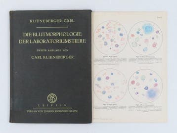 [Vroeg bloedonderzoek] Konrad Helly, Hugo Ribbert. e.a. -