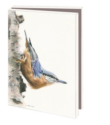 Kaartenmapje met env, klein: Birds, Nicole Boerema, Diversen, Wenskaarten, Ophalen of Verzenden, Nieuw