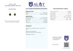 Geen reserve - ALGT gecertificeerd - Zeer exclusieve