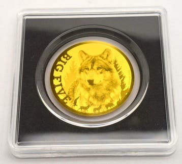 Tsjaad. 5000 Francs 2022 Big Five - Wild Wolf - 1/200oz
