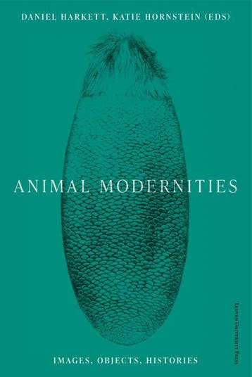 Animal Modernities | Nieuw, Verzenden, Catherine Girard; Rosalind Hayes; Emily Gephart; Maura Coughlin; Laura Nuffer; Nina Amstutz; Stephanie Triplett; Niharika Dinkar; Katherine Fein; Annie Ronan; Michael Yonan; Alysia Garrison; Amy Freund; Sean Weiss