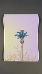 Téber - Aquamint Palm · No Reserve