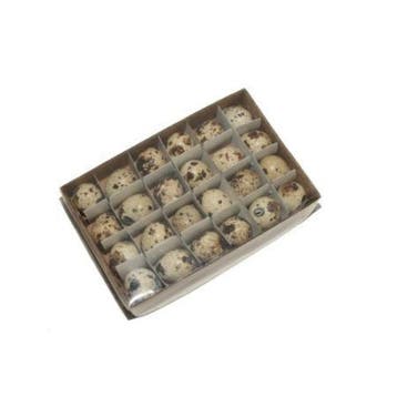 Kwarteleitjes doos 24 stuks uitgeblazen voor decoratie, Nieuw