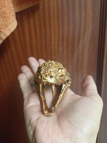 Python Schedel - Python regius - 6 cm - 5 cm - 8 cm - (1)