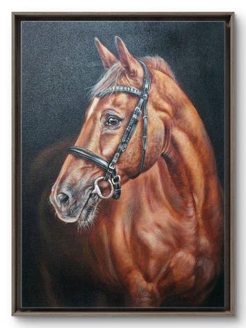 Reinier Nogueras (1985) - Serie ¨Nobleza¨