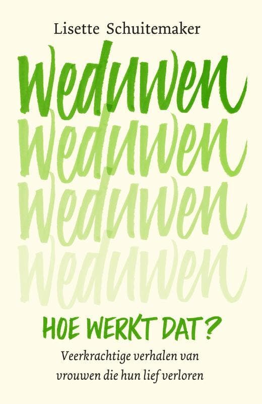 Weduwen, hoe werkt dat? 9789000365401 Lisette Schuitemaker, Livres, Psychologie, Envoi