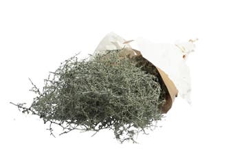 Wilde asparagus waxed green – decoratiegroen – ca. 700 gram, Nieuw