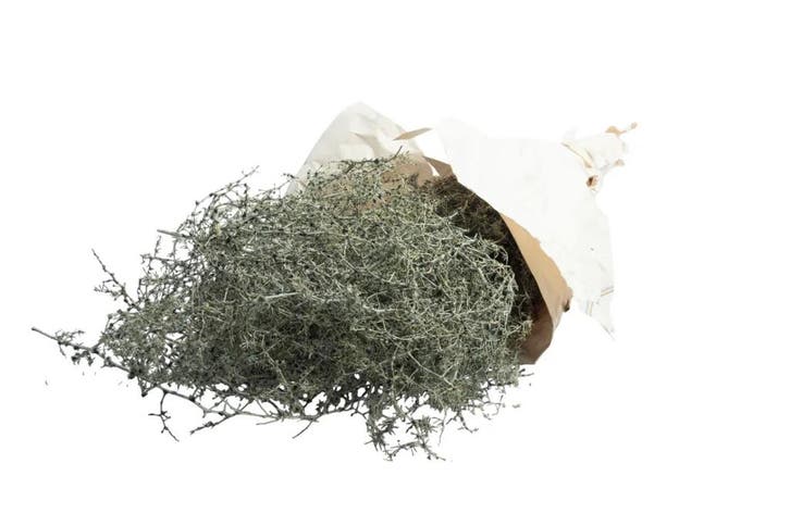 Wilde asparagus waxed green – decoratiegroen – ca. 700 gram, Maison & Meubles, Accessoires pour la Maison | Plantes & Fleurs artificielles
